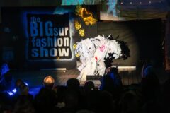 Photos by Brian Mack (446/600)